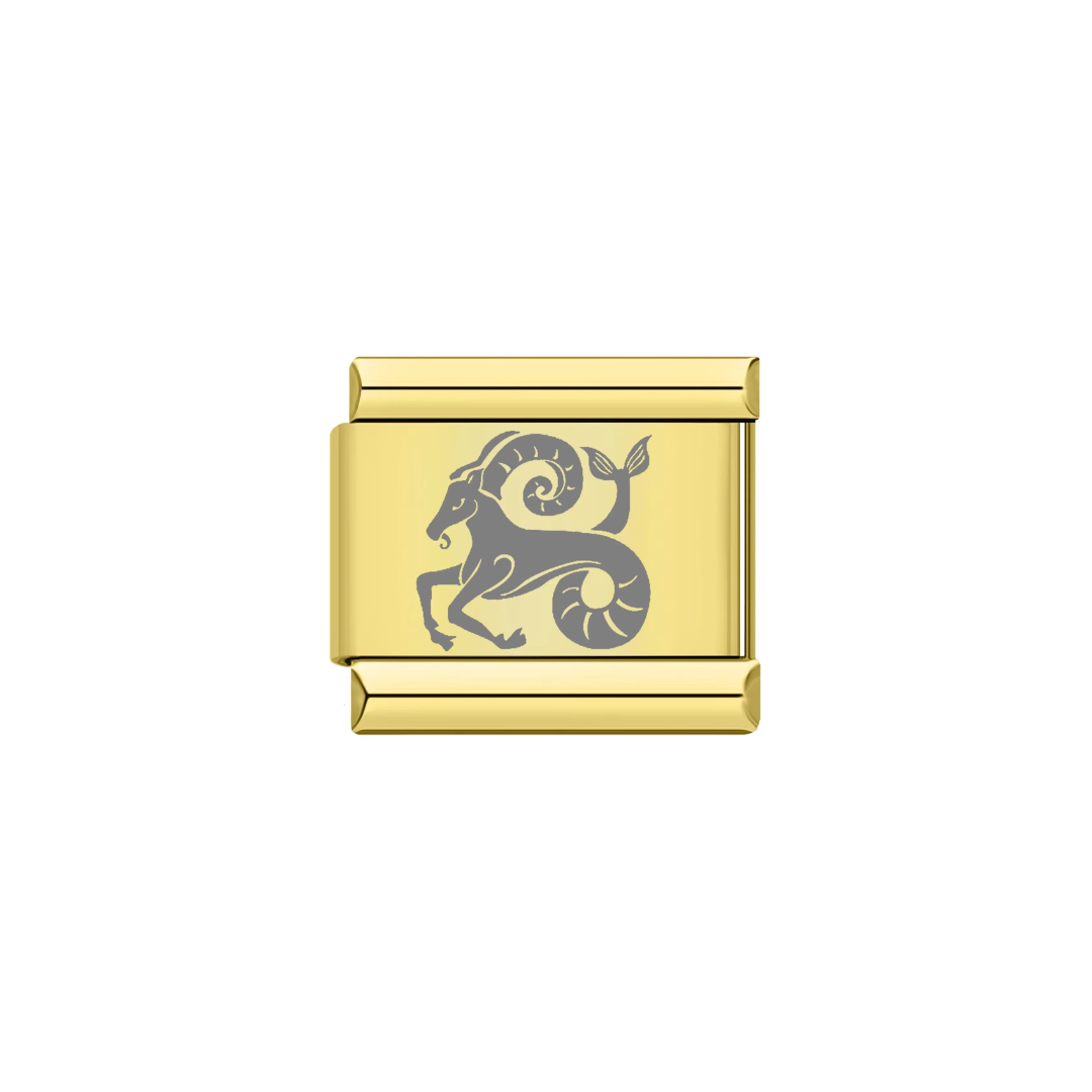Capricorn Zodiac Charm - Jewellux